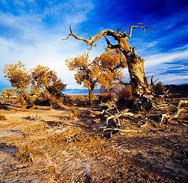 《漫威蜘蛛侠2》玛丽简换脸模变少妇了？官方：没换演员