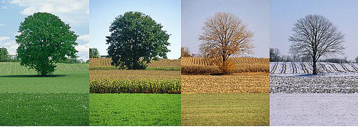 动作冒险游戏《Edge of Memories》Steam页面上线 明年发售