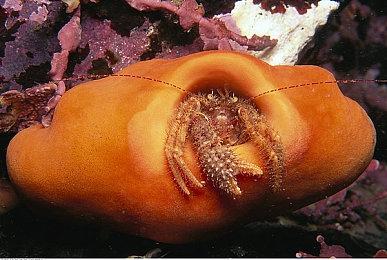 网易2024新游规划：《永劫无间》手游预计暑期上线